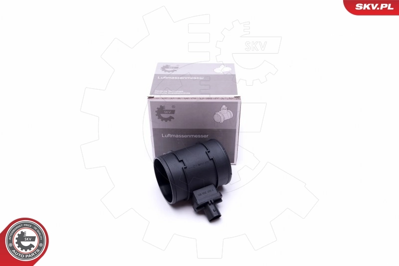 Mass Air Flow Sensor
